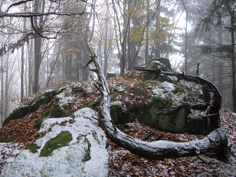 waldviertel